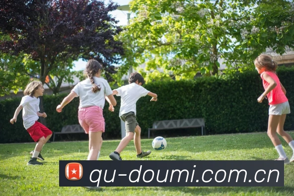 多米官方平台 - 登录入口 - Domi官网 APP界面